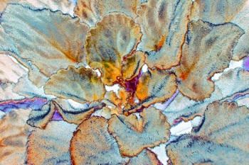 F 016B